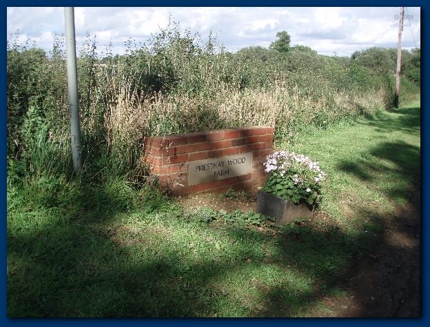 600x449 pixels (184K)